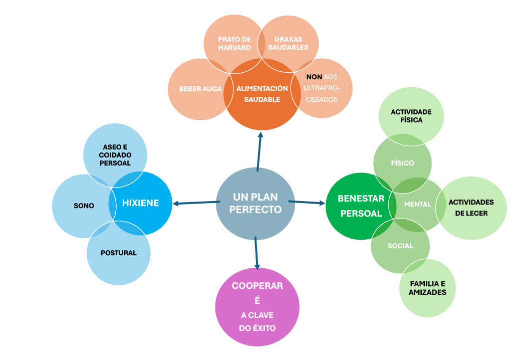 Imaxe dun mapa mental con cores representando as relacións entre os contidos aprendidos en Un Plan Perfecto