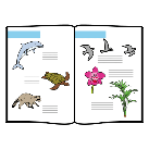 Fotos de animais con pequenos textos explicativos